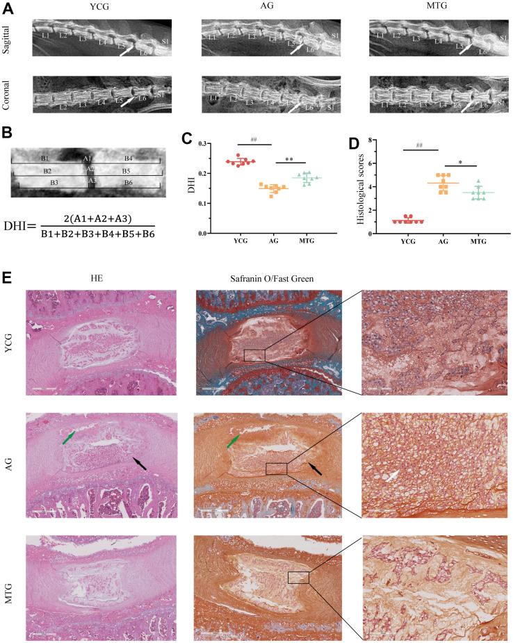 https://cdn.ncbi.nlm.nih.gov/pmc/blobs/8502/8954973/b0d795845171/aging-14-203949-g002.jpg