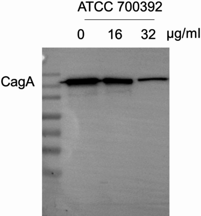 https://cdn.ncbi.nlm.nih.gov/pmc/blobs/8503/12291342/fe3cda837e25/12906_2025_4989_Fig6_HTML.jpg