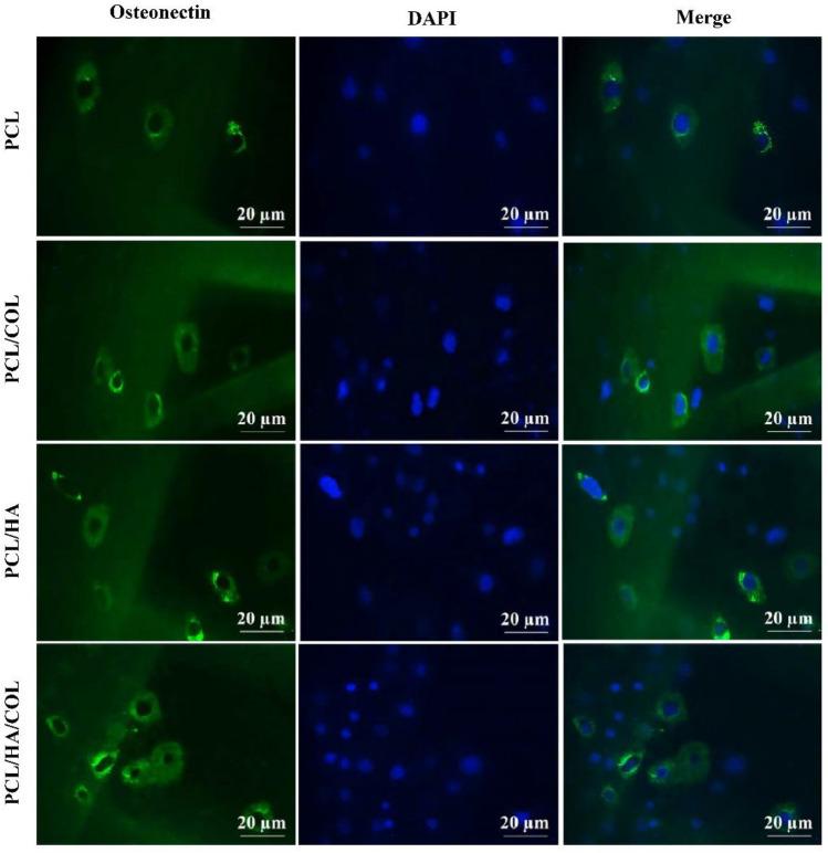 https://cdn.ncbi.nlm.nih.gov/pmc/blobs/8503/9300684/27d1a95ee869/41598_2022_15602_Fig7_HTML.jpg