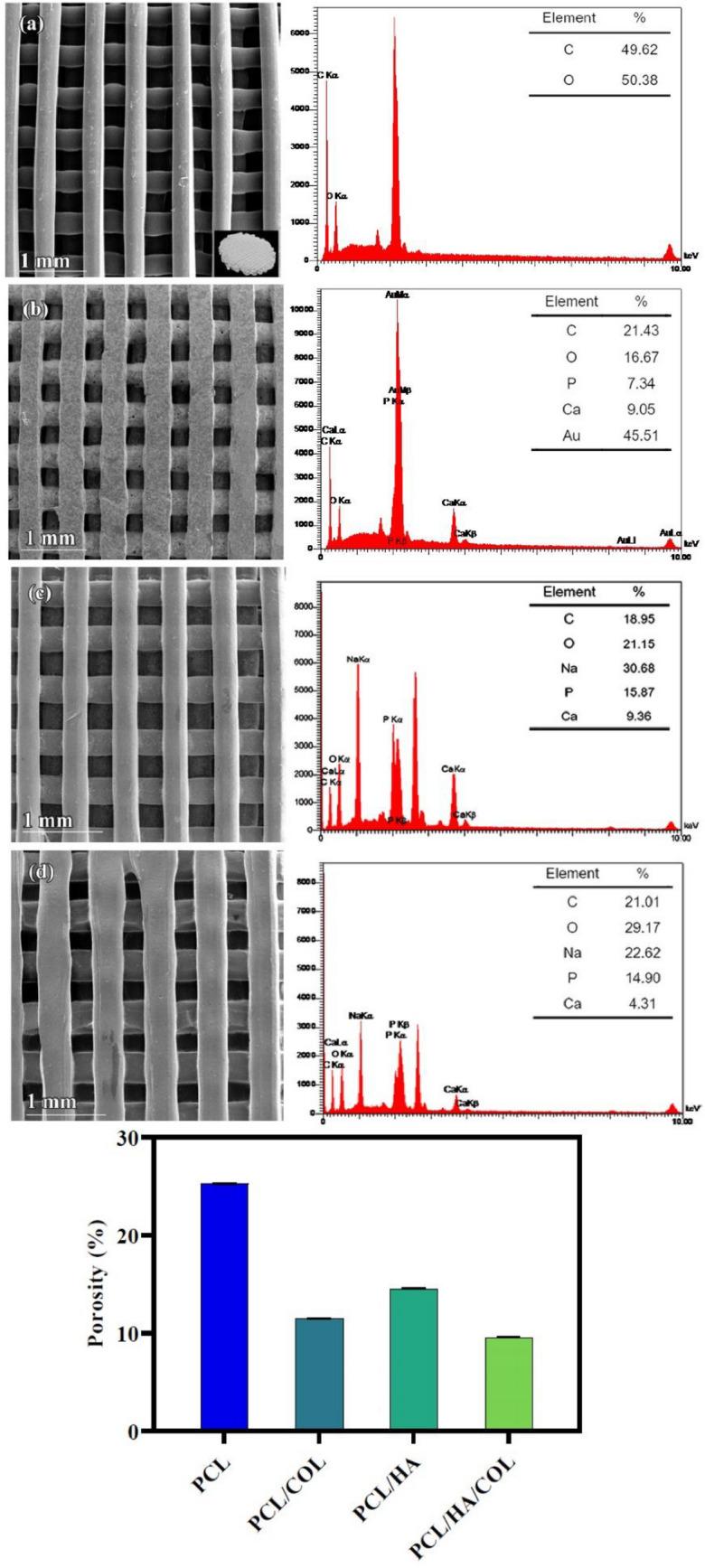 https://cdn.ncbi.nlm.nih.gov/pmc/blobs/8503/9300684/b12551c3d026/41598_2022_15602_Fig2_HTML.jpg