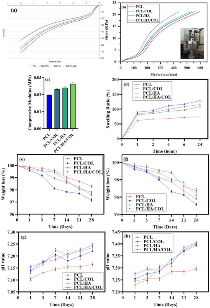 https://cdn.ncbi.nlm.nih.gov/pmc/blobs/8503/9300684/bf7c3c26569a/41598_2022_15602_Fig3_HTML.jpg