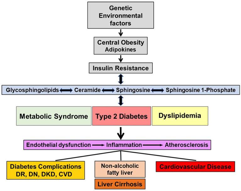 https://cdn.ncbi.nlm.nih.gov/pmc/blobs/850a/10531201/0715da644167/ijms-24-14015-g002.jpg
