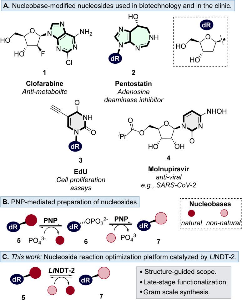 https://cdn.ncbi.nlm.nih.gov/pmc/blobs/850a/11423613/71da790b6c78/d4sc04938a-f1.jpg