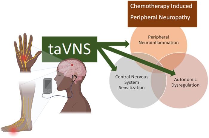 https://cdn.ncbi.nlm.nih.gov/pmc/blobs/850a/11782131/8364ed4ef125/fpain-05-1516196-g001.jpg