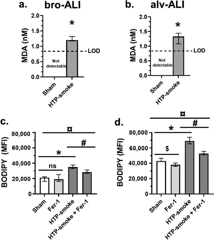 https://cdn.ncbi.nlm.nih.gov/pmc/blobs/850c/9525689/c252ef7818ce/41598_2022_20657_Fig8_HTML.jpg