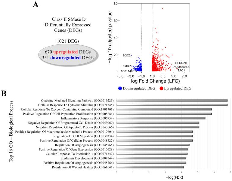 https://cdn.ncbi.nlm.nih.gov/pmc/blobs/850e/11988295/3921bcb9a67e/ijms-26-03012-g002.jpg