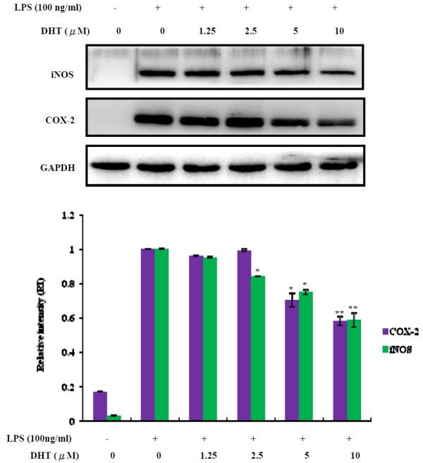https://cdn.ncbi.nlm.nih.gov/pmc/blobs/850e/3900474/4dfb1edcd480/1472-6882-14-21-3.jpg