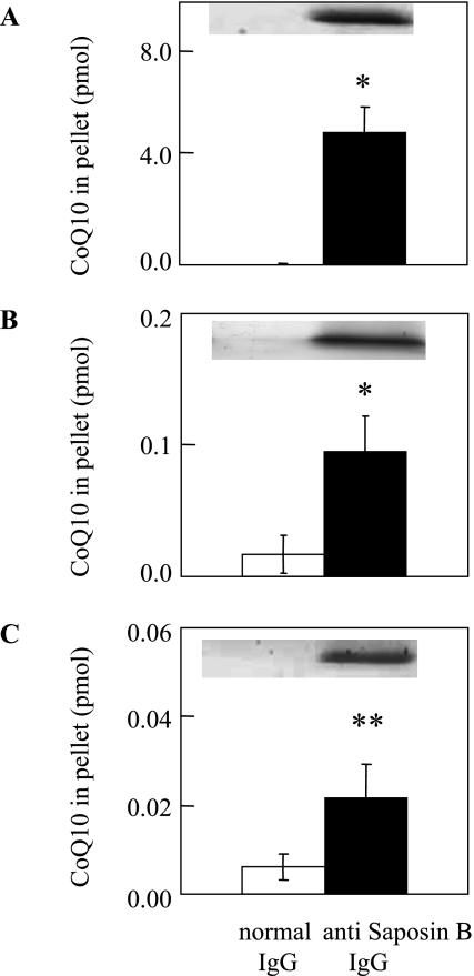 https://cdn.ncbi.nlm.nih.gov/pmc/blobs/850f/2266064/d3afd5538d5d/jcbn2008024f03.jpg
