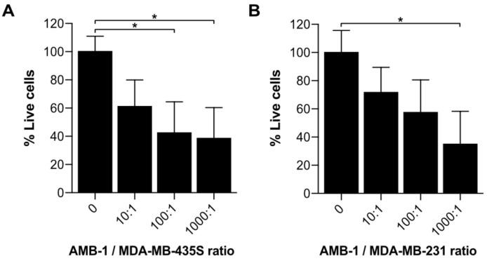 https://cdn.ncbi.nlm.nih.gov/pmc/blobs/8512/7825404/880c4416d210/ijms-22-00498-g003.jpg
