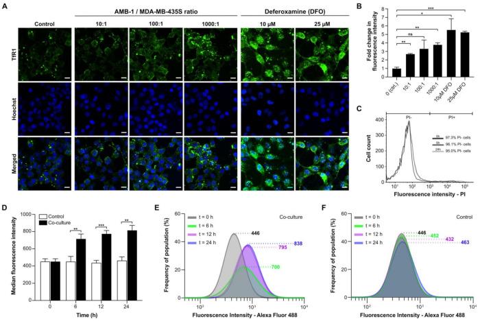 https://cdn.ncbi.nlm.nih.gov/pmc/blobs/8512/7825404/a0c4c39977fd/ijms-22-00498-g002.jpg
