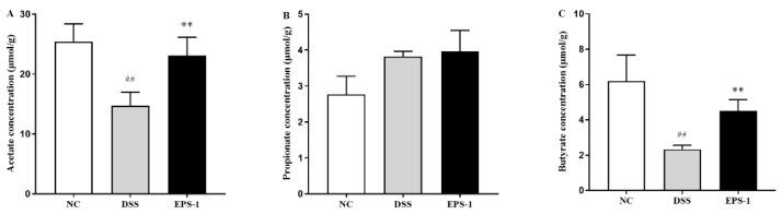 https://cdn.ncbi.nlm.nih.gov/pmc/blobs/8512/8539248/a3217b9885c8/microorganisms-09-02086-g006.jpg