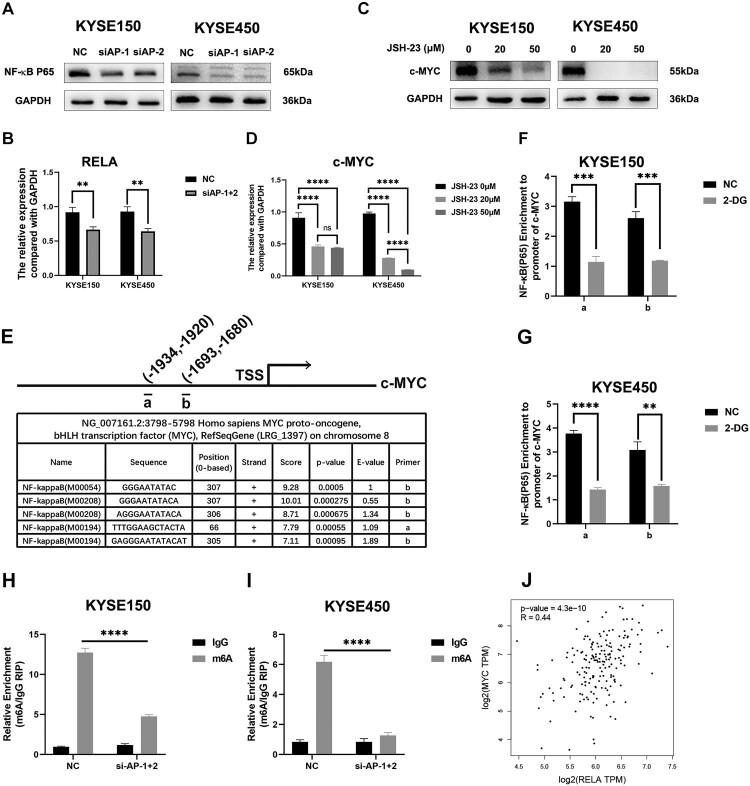 https://cdn.ncbi.nlm.nih.gov/pmc/blobs/8513/11536669/0b8089db7661/TACS_A_2417458_F0006_OB.jpg