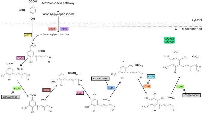 https://cdn.ncbi.nlm.nih.gov/pmc/blobs/8514/11595325/b9c4d3416714/NXG-2024-100124f1.jpg
