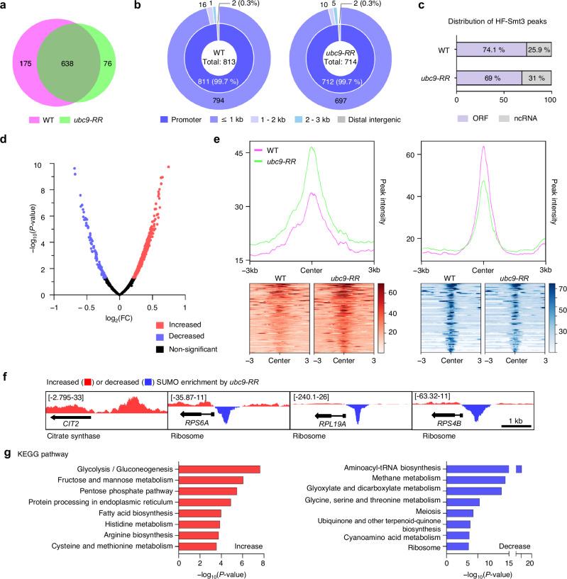 https://cdn.ncbi.nlm.nih.gov/pmc/blobs/8515/12009981/2ff9641049fb/41467_2025_58925_Fig6_HTML.jpg