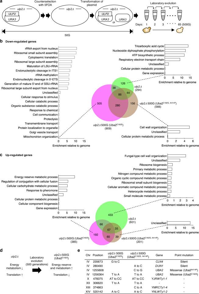 https://cdn.ncbi.nlm.nih.gov/pmc/blobs/8515/12009981/988046223062/41467_2025_58925_Fig1_HTML.jpg