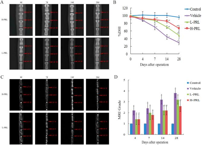 https://cdn.ncbi.nlm.nih.gov/pmc/blobs/8515/5833353/bc6949b8ea03/41419_2017_151_Fig2_HTML.jpg