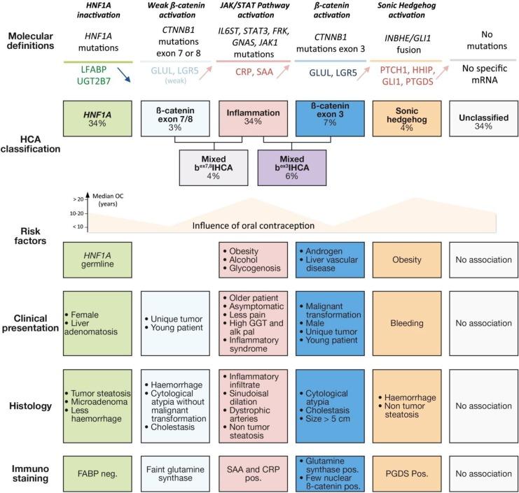https://cdn.ncbi.nlm.nih.gov/pmc/blobs/8515/5933592/f539bd469c2b/10.1177_1073274817744625-fig11.jpg