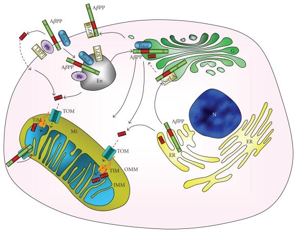 https://cdn.ncbi.nlm.nih.gov/pmc/blobs/8518/3065051/101051398fce/IJAD2011-925050.001.jpg