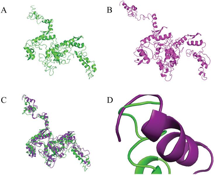 https://cdn.ncbi.nlm.nih.gov/pmc/blobs/8519/10760682/1019a0c74d41/pone.0296361.g006.jpg