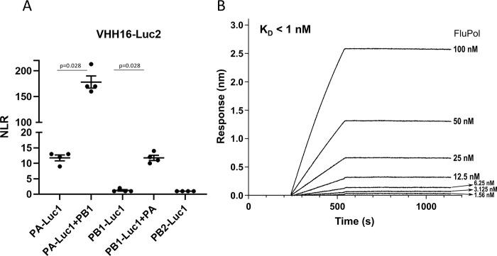 https://cdn.ncbi.nlm.nih.gov/pmc/blobs/8519/11210859/1c42f86aaf55/ppat.1011642.g006.jpg