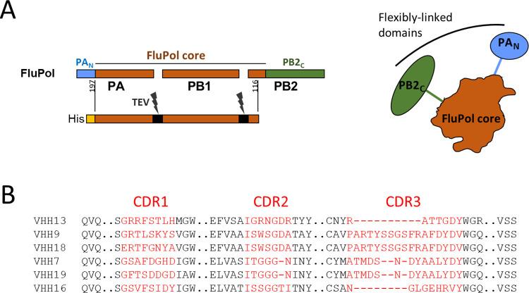 https://cdn.ncbi.nlm.nih.gov/pmc/blobs/8519/11210859/442c49301569/ppat.1011642.g002.jpg
