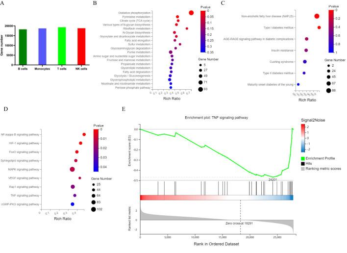 https://cdn.ncbi.nlm.nih.gov/pmc/blobs/851a/11798774/166e63b67eaf/fimmu-15-1501660-g004.jpg