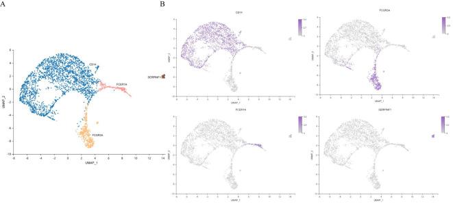 https://cdn.ncbi.nlm.nih.gov/pmc/blobs/851a/11798774/c1539b131fbb/fimmu-15-1501660-g008.jpg