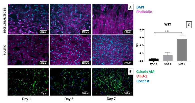 https://cdn.ncbi.nlm.nih.gov/pmc/blobs/851c/8910833/07082b25c28a/ijms-23-02826-g005.jpg