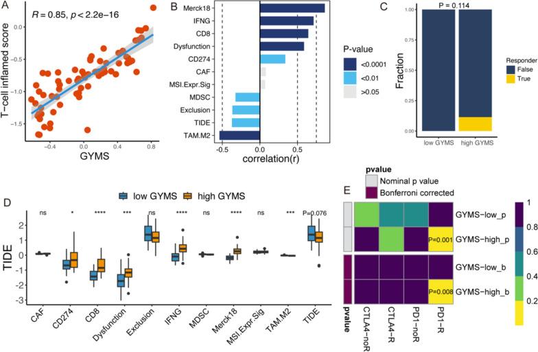 https://cdn.ncbi.nlm.nih.gov/pmc/blobs/851e/11590409/2ee5c8487c7e/40478_2024_1895_Fig5_HTML.jpg