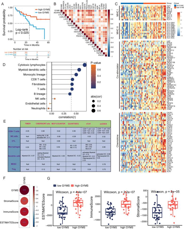 https://cdn.ncbi.nlm.nih.gov/pmc/blobs/851e/11590409/63f56f34fee7/40478_2024_1895_Fig3_HTML.jpg