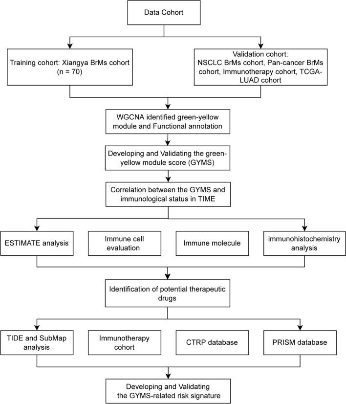 https://cdn.ncbi.nlm.nih.gov/pmc/blobs/851e/11590409/6483e186d732/40478_2024_1895_Fig1_HTML.jpg