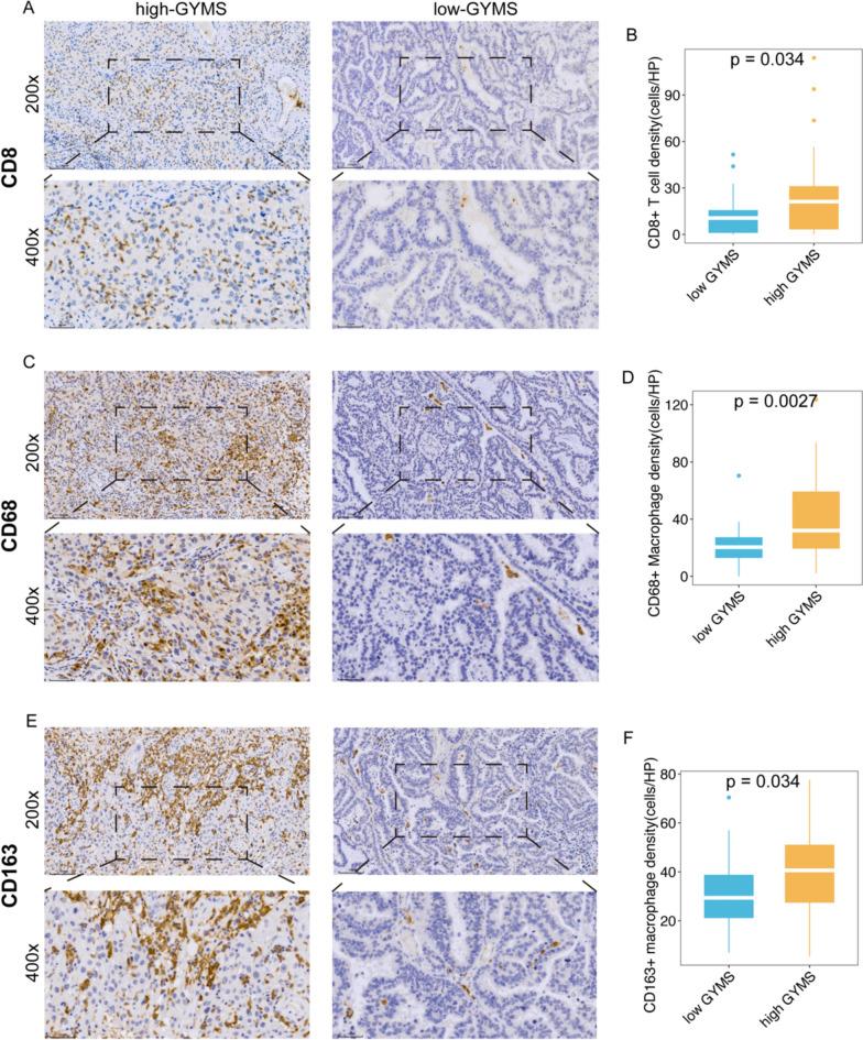 https://cdn.ncbi.nlm.nih.gov/pmc/blobs/851e/11590409/abab3d321ead/40478_2024_1895_Fig4_HTML.jpg