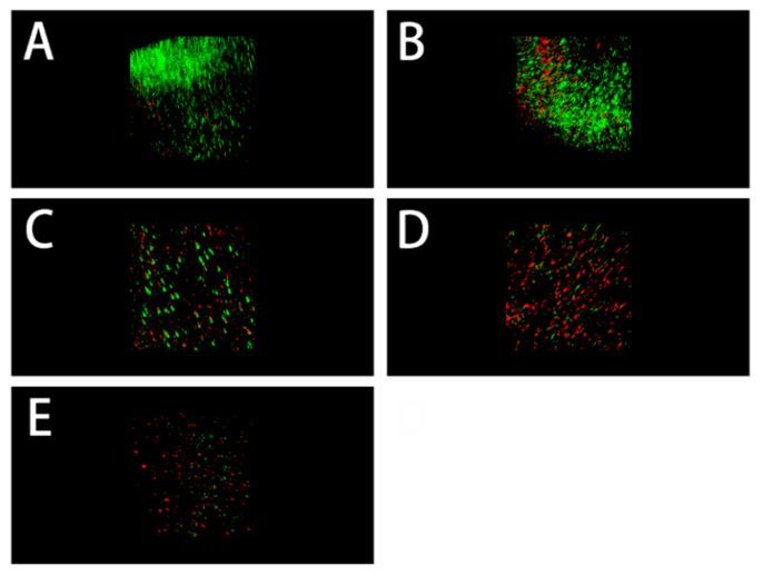 https://cdn.ncbi.nlm.nih.gov/pmc/blobs/851f/9370890/f4eac588b7b0/polymers-14-03166-g007.jpg