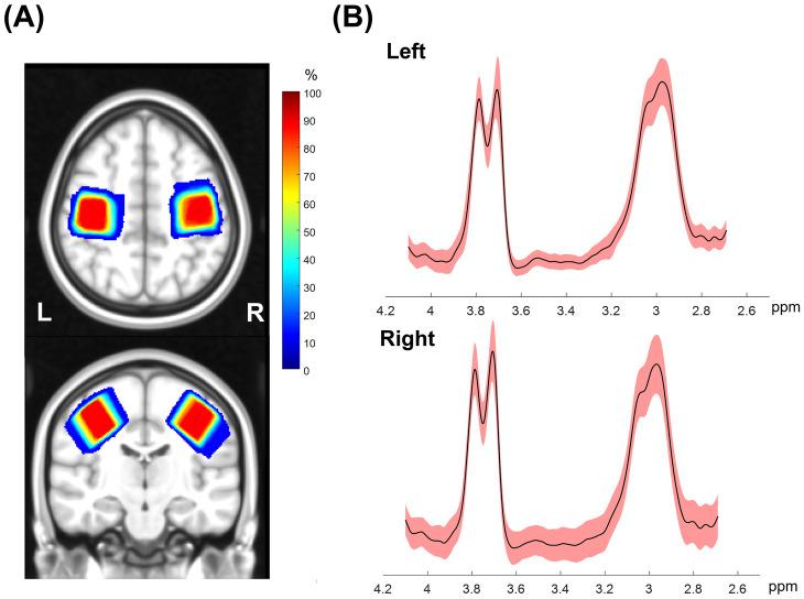 https://cdn.ncbi.nlm.nih.gov/pmc/blobs/8521/12206704/2acfc1af1980/fpain-06-1533962-g006.jpg