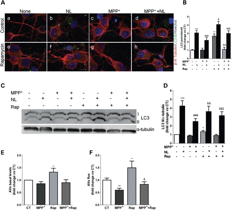 https://cdn.ncbi.nlm.nih.gov/pmc/blobs/8521/3471400/5b82f7f24287/dds30905.jpg