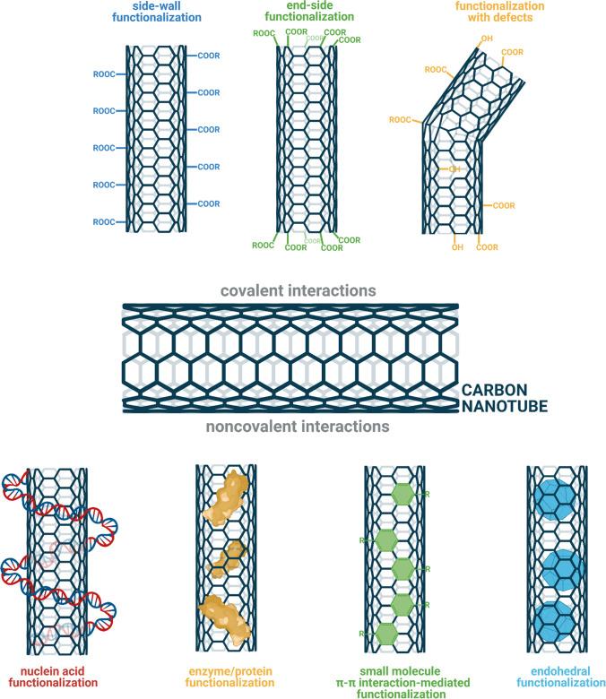 https://cdn.ncbi.nlm.nih.gov/pmc/blobs/8521/8984675/67fa999d739a/253_2022_11901_Fig4_HTML.jpg