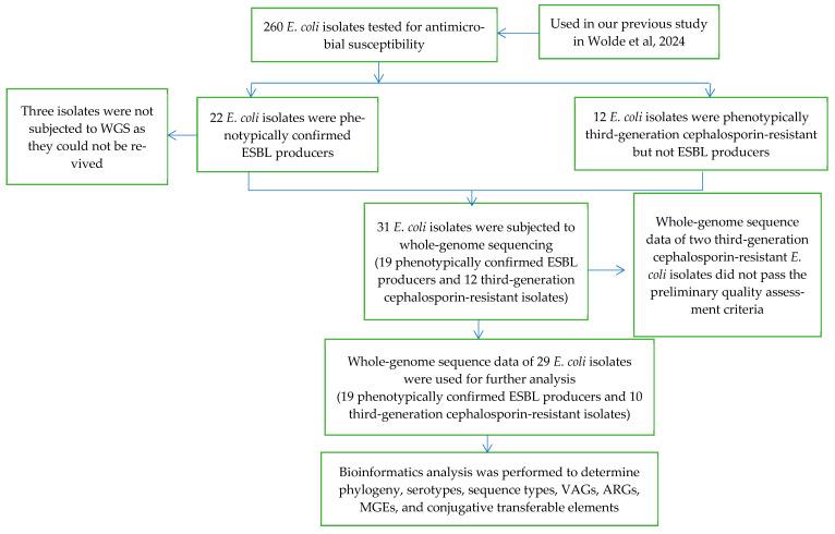 https://cdn.ncbi.nlm.nih.gov/pmc/blobs/8522/11428868/6c2d2dc44efb/antibiotics-13-00851-g005.jpg