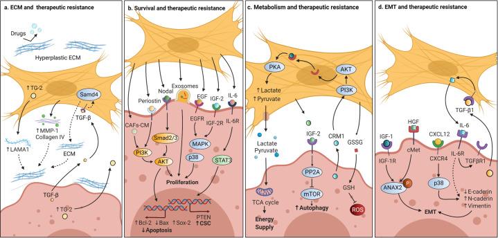 https://cdn.ncbi.nlm.nih.gov/pmc/blobs/8523/8190181/02600fdae67d/41392_2021_641_Fig6_HTML.jpg