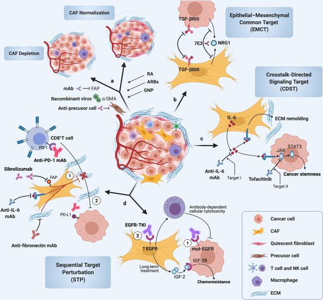 https://cdn.ncbi.nlm.nih.gov/pmc/blobs/8523/8190181/0a46792c14b3/41392_2021_641_Fig7_HTML.jpg