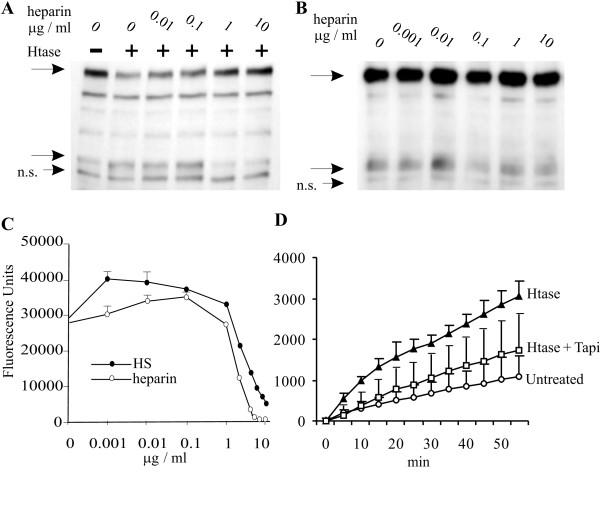 https://cdn.ncbi.nlm.nih.gov/pmc/blobs/8525/2636757/2aba1e6bca18/1471-2121-10-5-3.jpg