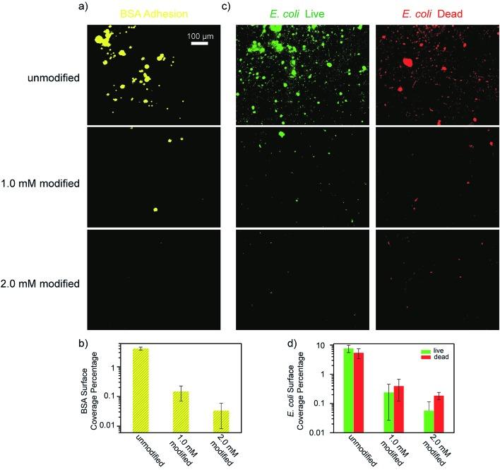 https://cdn.ncbi.nlm.nih.gov/pmc/blobs/8527/6487792/80f8efd35d81/c8sc04832k-f8.jpg