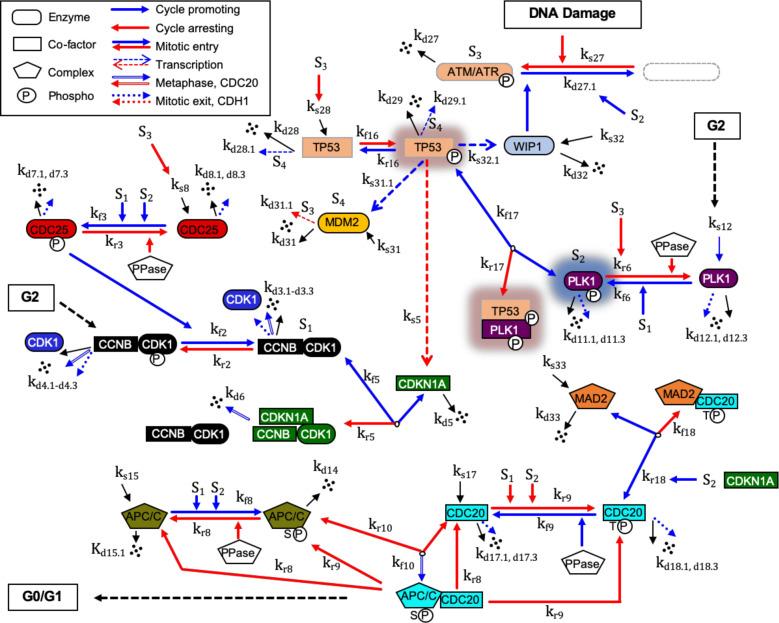 https://cdn.ncbi.nlm.nih.gov/pmc/blobs/8528/8660825/0de430be944b/41540_2021_203_Fig1_HTML.jpg