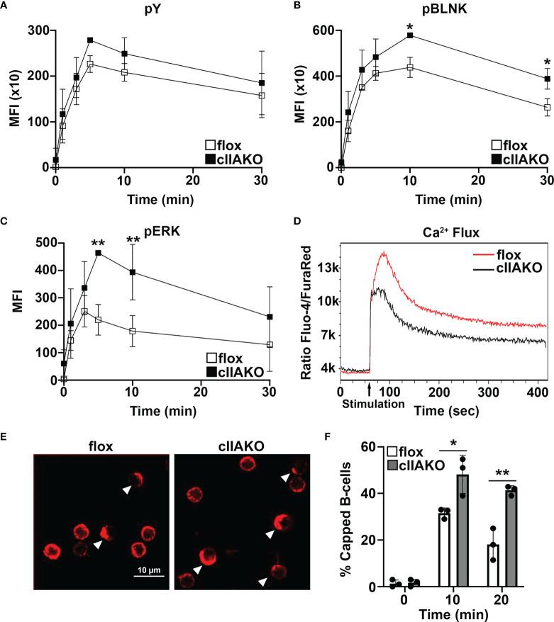 https://cdn.ncbi.nlm.nih.gov/pmc/blobs/8528/9047714/023c0c8e5a81/fimmu-13-842605-g005.jpg