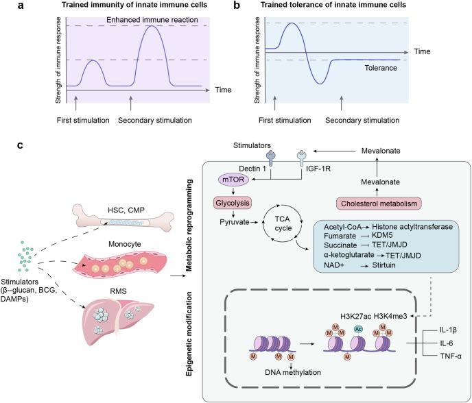 https://cdn.ncbi.nlm.nih.gov/pmc/blobs/852a/10008588/d1e208688d15/41392_2023_1377_Fig4_HTML.jpg