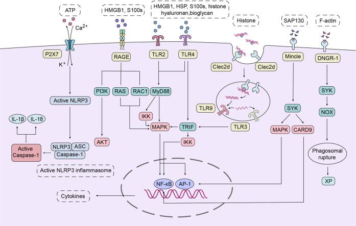 https://cdn.ncbi.nlm.nih.gov/pmc/blobs/852a/10008588/fd64b6622d89/41392_2023_1377_Fig2_HTML.jpg