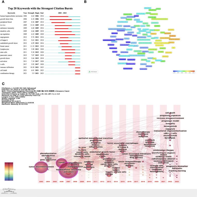 https://cdn.ncbi.nlm.nih.gov/pmc/blobs/852d/11473330/61b614da5a7e/fimmu-15-1474869-g007.jpg