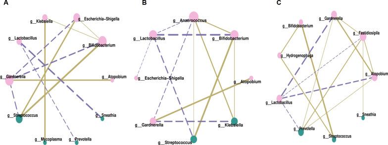 https://cdn.ncbi.nlm.nih.gov/pmc/blobs/852f/12034622/c81add225201/fcimb-15-1544794-g004.jpg