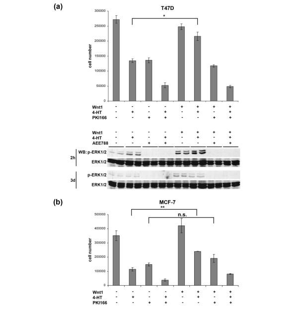 https://cdn.ncbi.nlm.nih.gov/pmc/blobs/8531/2242658/d38d4f0b5eb0/bcr1769-7.jpg