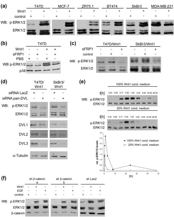 https://cdn.ncbi.nlm.nih.gov/pmc/blobs/8531/2242658/ece1cecbba55/bcr1769-4.jpg