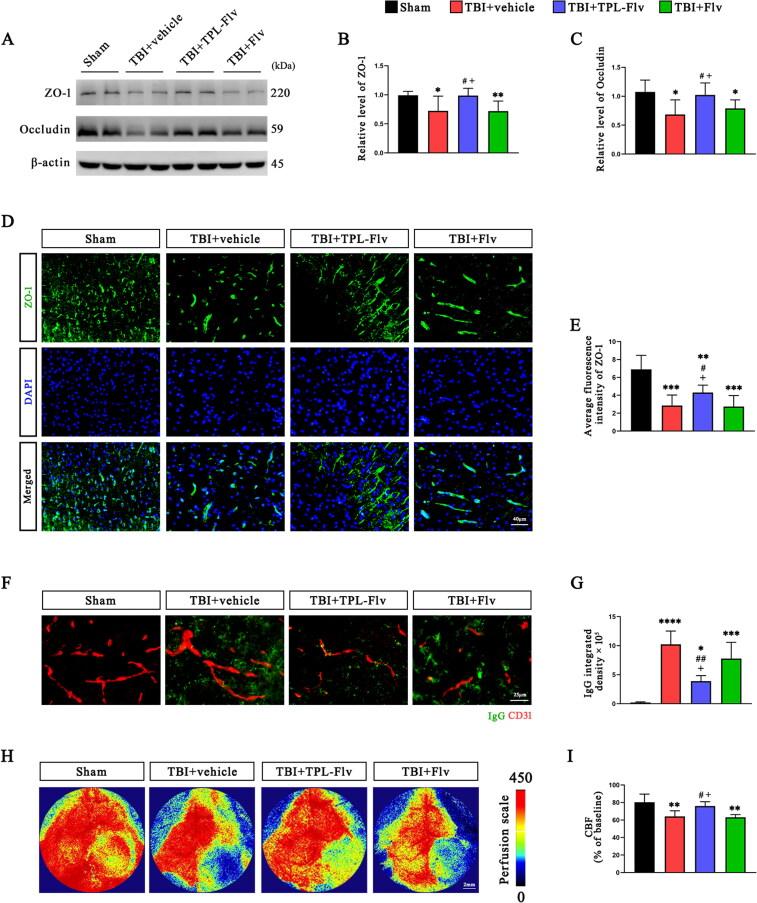 https://cdn.ncbi.nlm.nih.gov/pmc/blobs/8532/12001850/372ec9fdb01b/IDRD_A_2486840_F0005_C.jpg